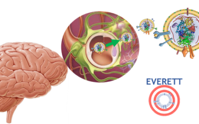 Rencontre du consortium EVERETT